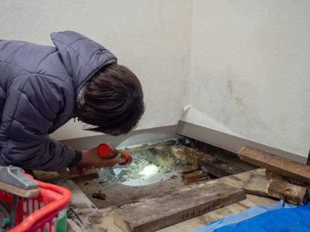 Best Biohazard Mold Removal  in Basking Ridge, NJ