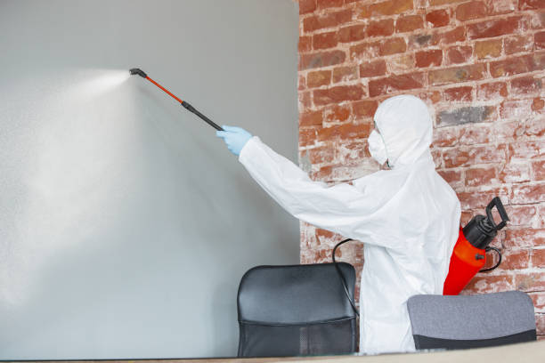 Best Air Quality Testing for Mold Spores  in Basking Ridge, NJ