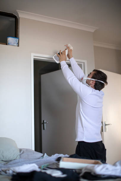 Best Asbestos and Lead Testing During Mold Inspection  in Basking Ridge, NJ