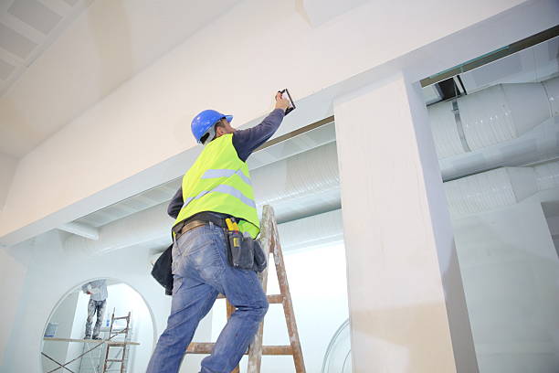 Best Post-Construction Mold Inspection  in Basking Ridge, NJ